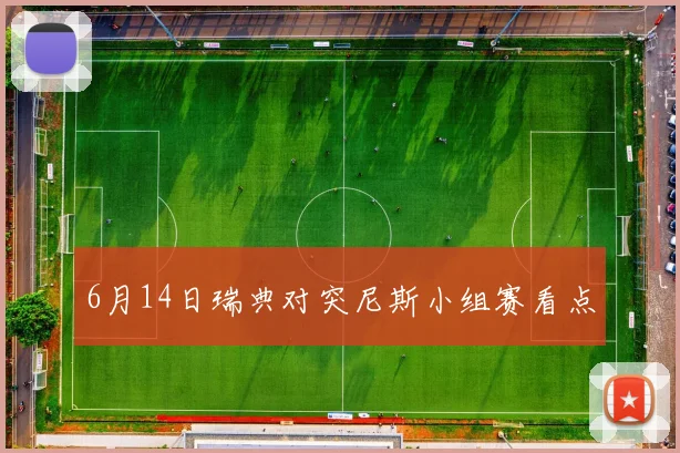 6月14日瑞典对突尼斯小组赛看点