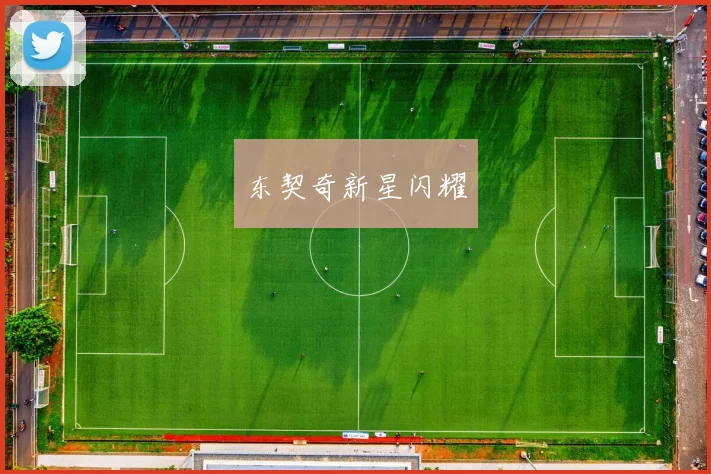 东契奇新星闪耀