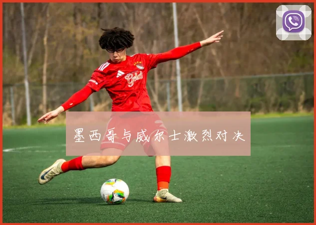 墨西哥与威尔士激烈对决