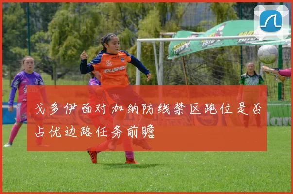 戈多伊面对加纳防线禁区跑位是否占优边路任务前瞻