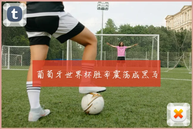 葡萄牙世界杯胜率震荡成黑马