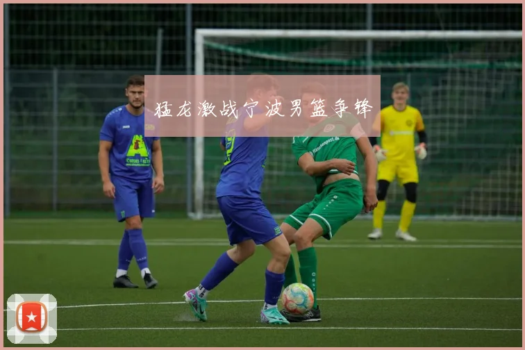 猛龙激战宁波男篮争锋