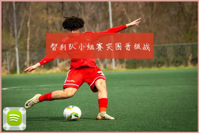 智利队小组赛突围晋级战