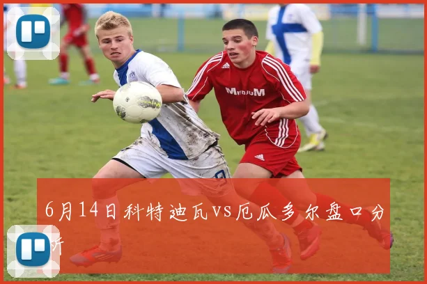 6月14日科特迪瓦vs厄瓜多尔盘口分析