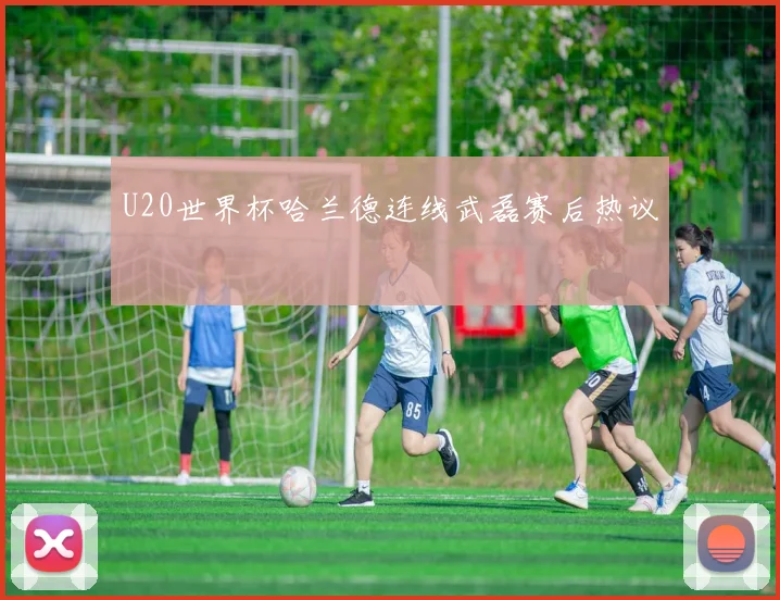U20世界杯哈兰德连线武磊赛后热议