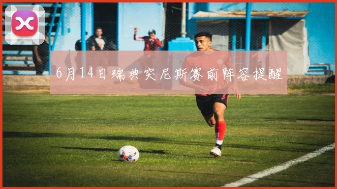 6月14日瑞典突尼斯赛前阵容提醒