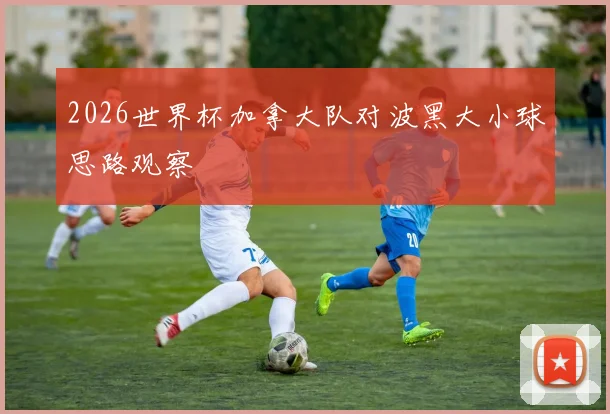 2026世界杯加拿大队对波黑大小球思路观察
