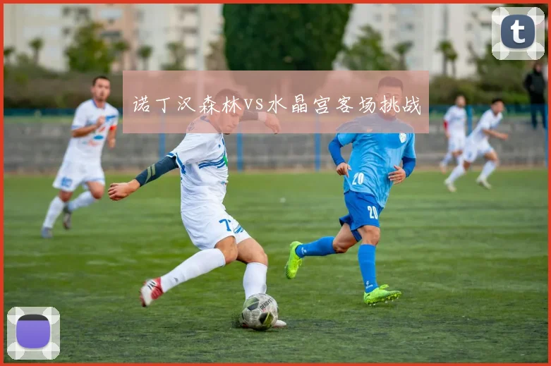 诺丁汉森林vs水晶宫客场挑战