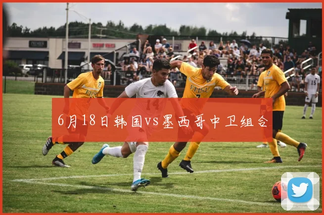 6月18日韩国vs墨西哥中卫组合